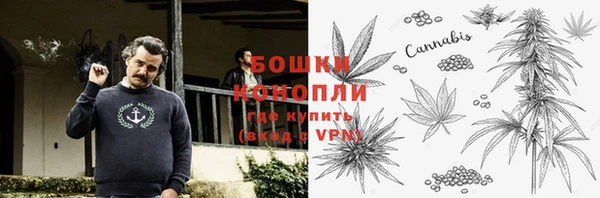 mix Богородицк