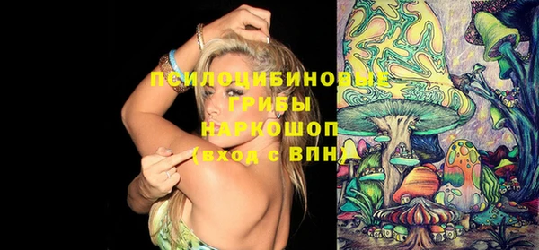 mix Богородицк