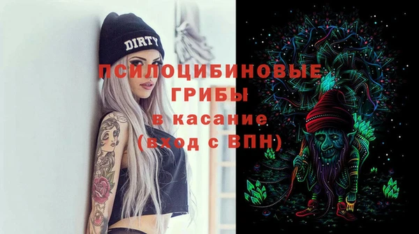 прущие крисы Богданович