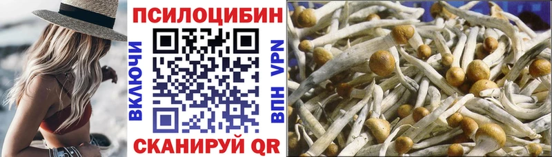 Купить закладки  Карабаново  Галлюциногенные грибы GOLDEN TEACHER 