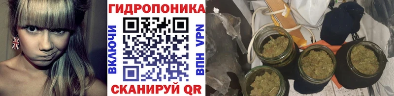 Бошки Шишки Bruce Banner  Купить  Карабаново 